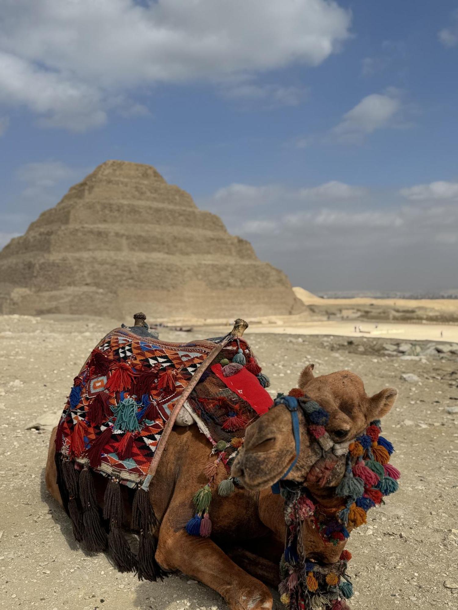 K Boutique Hotel Medspa-Pyramids & Grand Egyptian Museum Ghatati Eksteriør bilde